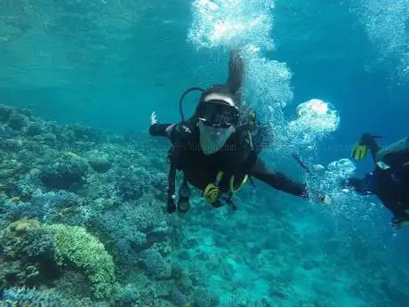 Photo de Under Pressure Divers