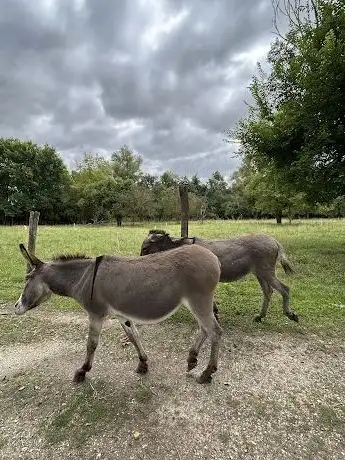 Photo of L'Arche Paysanne (uniquement sur réservation)