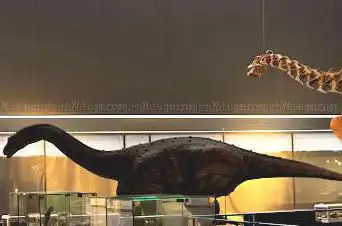 Photo de Le Musee des Dinosaures