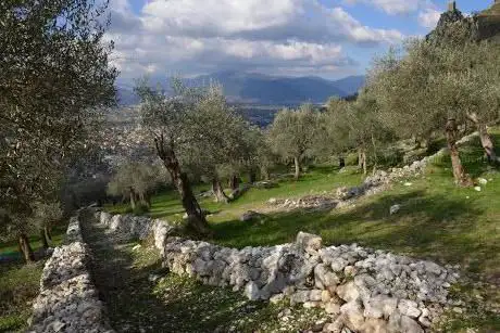 Photo de Parco Regionale dell'Olivo di Venafro