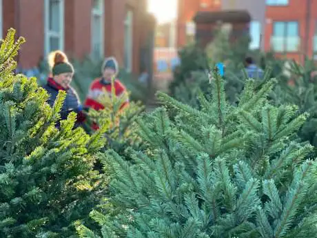 Photo de Ali & Joe's Christmas Trees