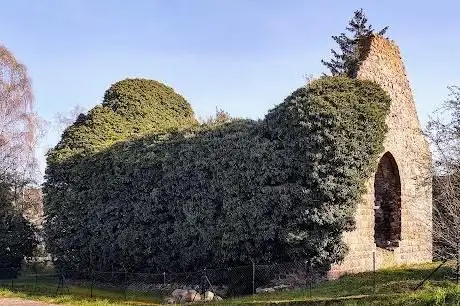 Photo de Kirchenruine Küssow
