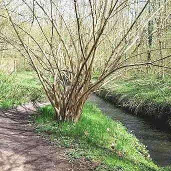 Photo de Carrefour des petits champs