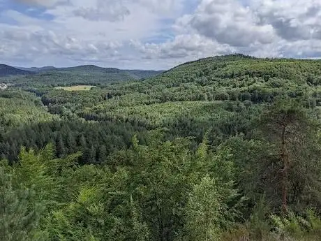 Photo de Schöne Aussicht am Geisenschlupffelsen