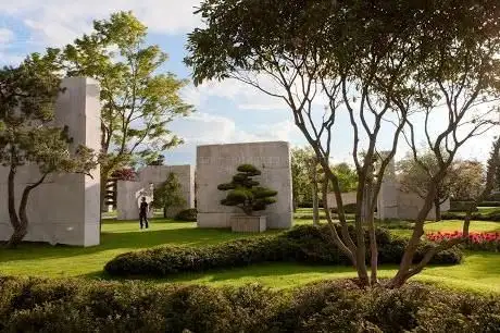 Photo de Enea Musée de l'arbre