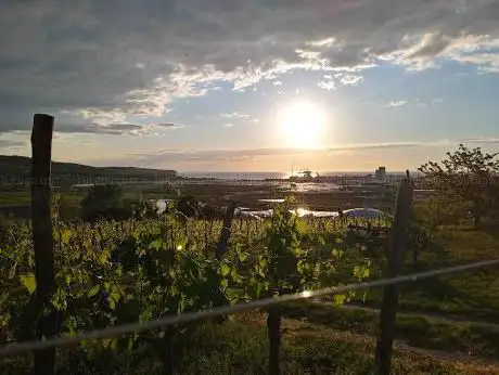 Photo de Kmetija pri Mirkotu