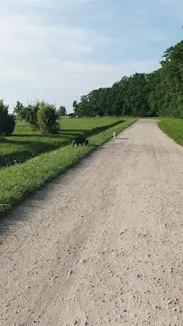 Photo de Parcours santé