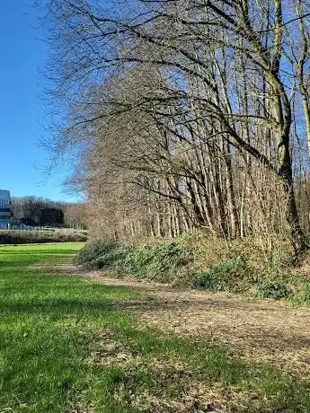 Photo de Bömmerdelle