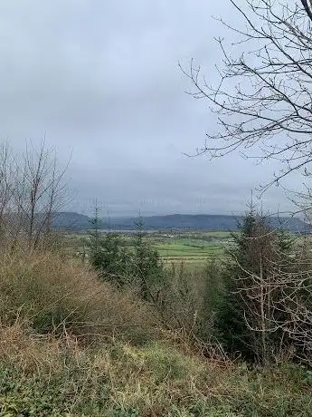 Photo de Coillte Rathcarrick