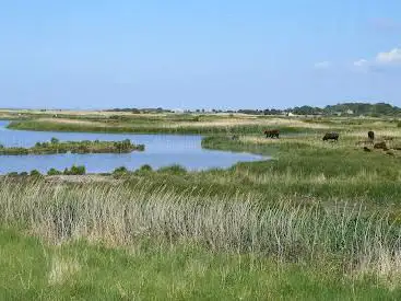 Photo de Oare Marshes Nature Reserve