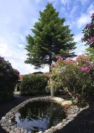 Photo de Runes Rhododendronpark