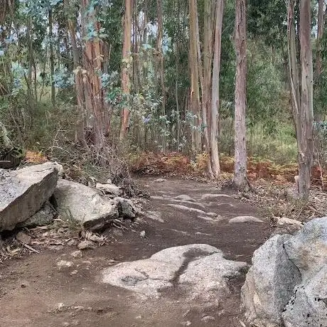 Photo de AVESBIKEPARK