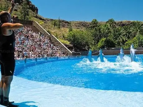 Photo de Palmitos Park