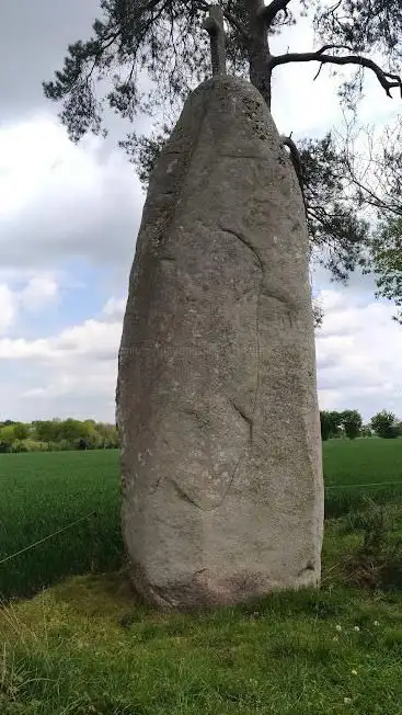 Photo de Menhir De La Butte