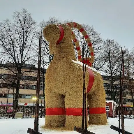 Photo de Bouc de Gävle