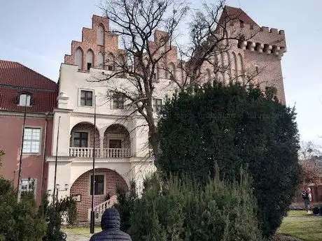 Foto de château royal de Poznań