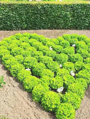 Foto de Le jardin de La Maison des Champs