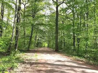 Photo de Parc Du Bois De L'Etang