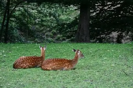 Photo of Wildpark Bruderhaus Winterthur