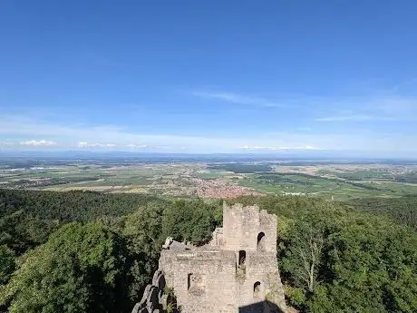 Photo of Château du Bernstein