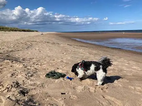 Photo de Druridge Bay Cresswell Dunes