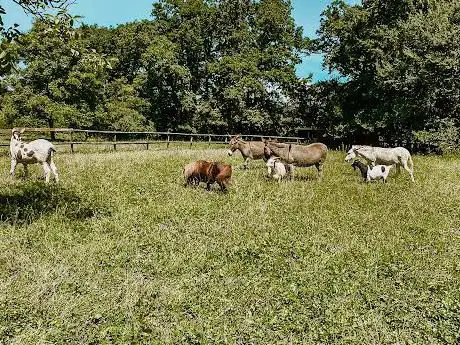 Photo de SOS Animaux de la Ferme Pédagogique
