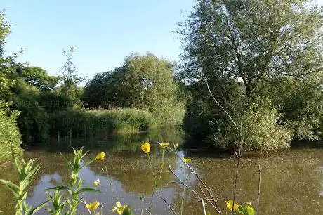 Photo de Gilroy Nature Park