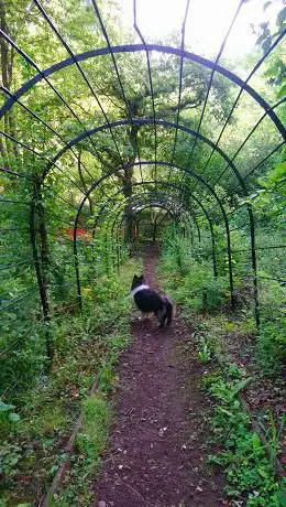 Photo de Bishops Knoll Wood