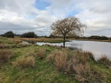 Photo de Norfolk Wildlife Trust: New Buckenham Common