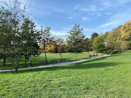 Photo de Municipal Carlo Leidi Park
