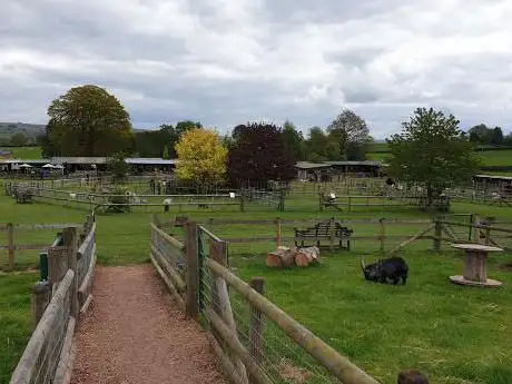 Photo de Small Breeds Farm Park