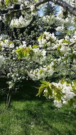 Photo de İbni Sina Çocuk Parkı