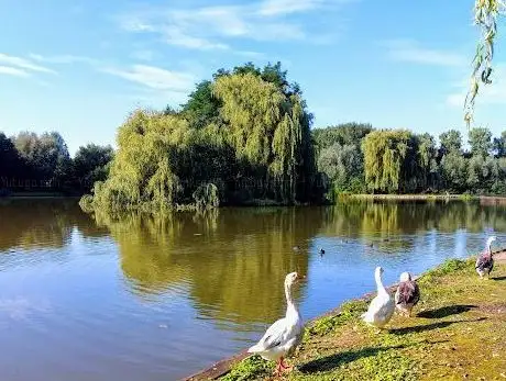 Photo de Droomvijver
