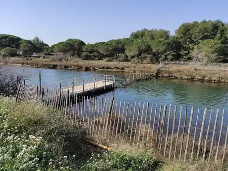 Photo de Basin Rehabilitation Des Tortues Marines Cestmed