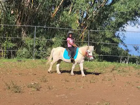 Photo de Ferme Les Brizants Poney