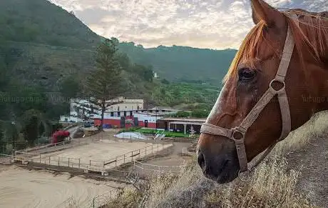 Photo de Centro Hípico Gran Canaria