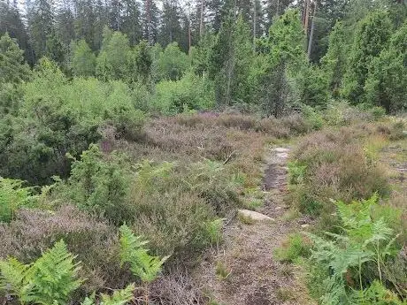 Photo de Lövhults naturreservat