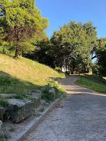 Photo de Jardim do Porro