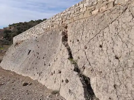 Photo de pisadas fosiles de Entelodon