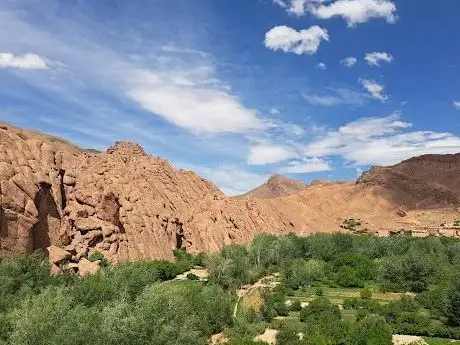 Photo de Monkey fingers view