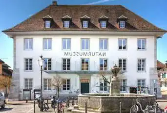 Photo de Museum of Nature