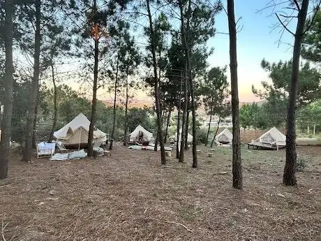Photo de Zen Forest - Retreat