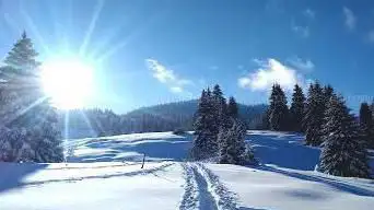 Photo de Natur'Odyssée Jura