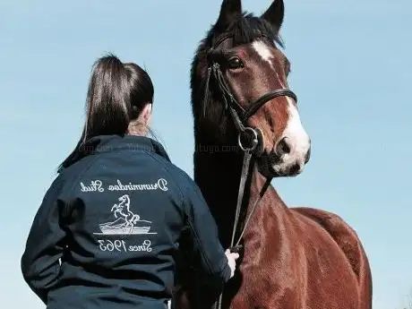 Photo de Drummindoo Stud