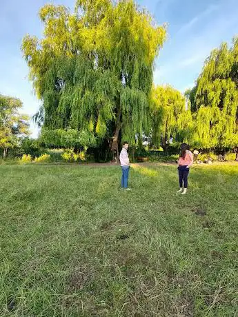 Photo de Gingi's Willow