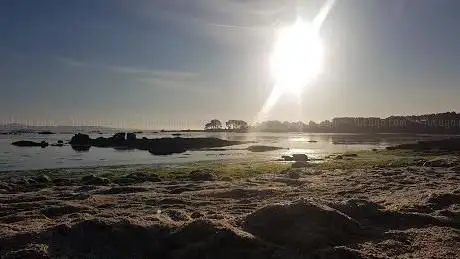 Photo de Praia Rosa da Mosca