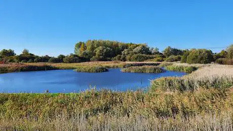 Photo de RSPB Fowlmere