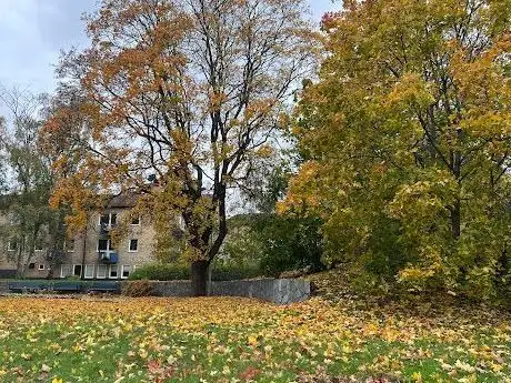 Photo de HAMMARPARKEN lekplatser