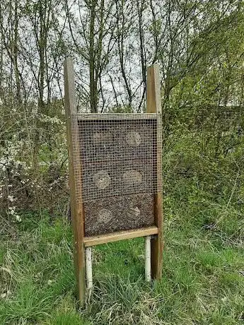 Photo de Bos N