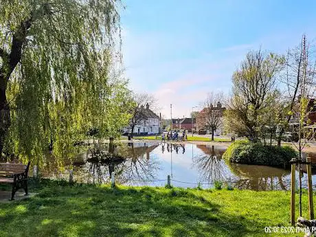 Photo de Writtle Duck Pond